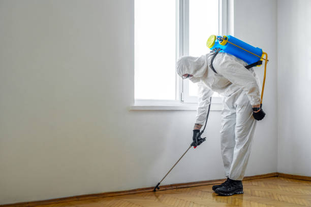 Best Pest Prevention Services  in Burns Flat, OK